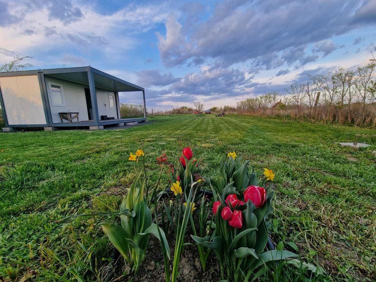 Vand teren extravilan Urseni 2163mp - 5