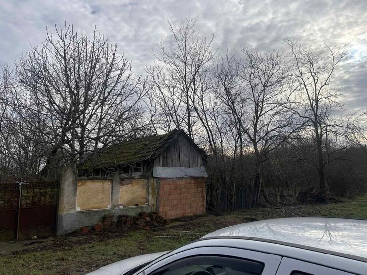 Casă de vânzare la Percosova (Gătaia)  - 5