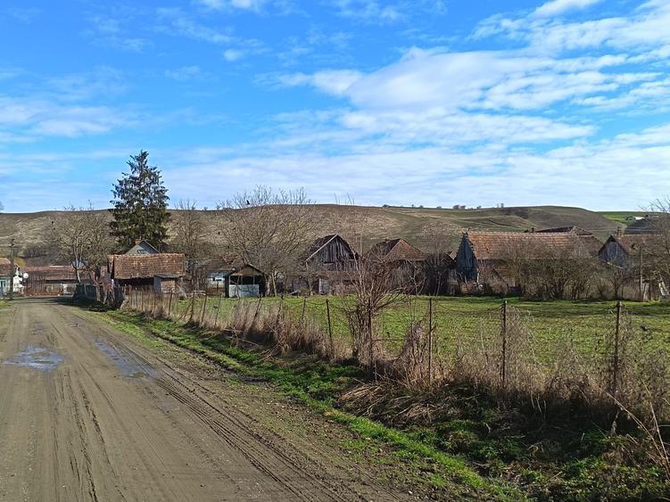 Casa de vanzare Gura Ariesului - 8