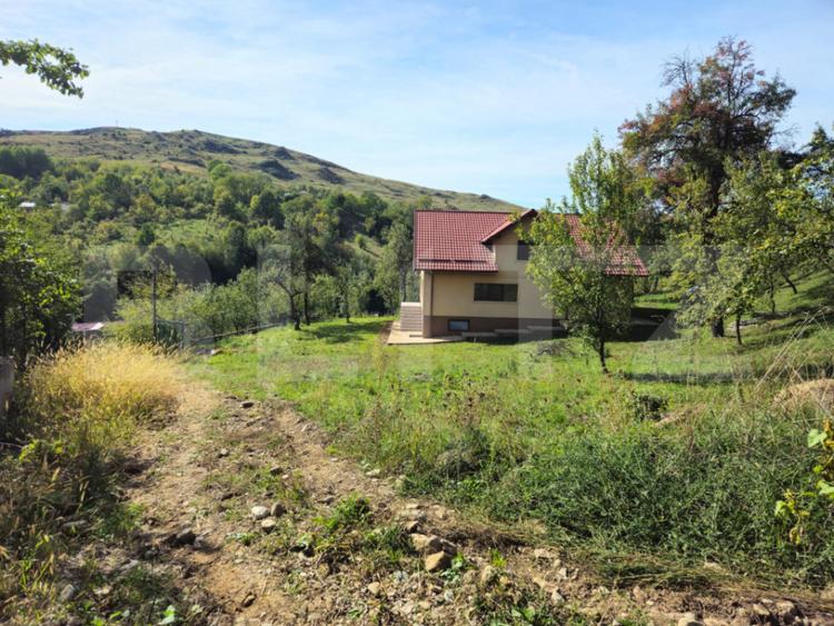 Vila Panoramica Runcu - 8