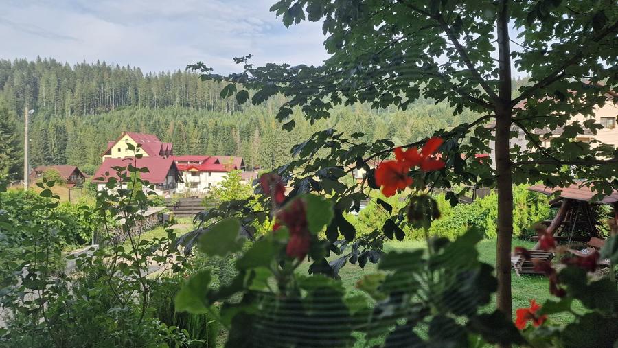 De Vanzare Pensiune-10 camere Voroneț - 11