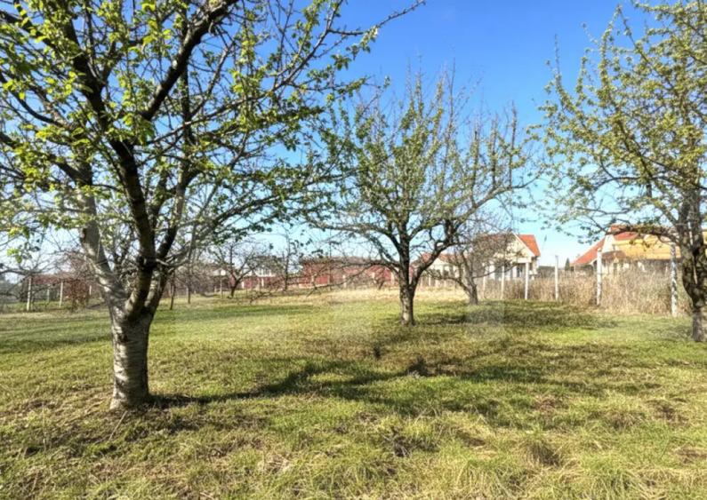 Teren cu dubla-deschidere, Paleu, 1000mp - 3