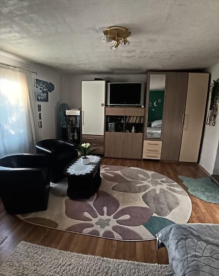 Valea Borcutului, casa 23 ari teren - 9