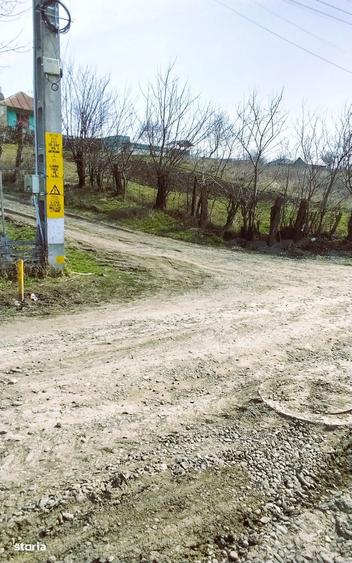 Aroneanu-Teren 1353mp intravilan la 350m de strada principala - 4