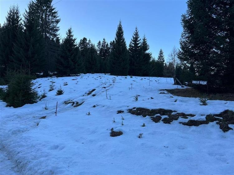 TEREN PREDEAL BRASOV - 6