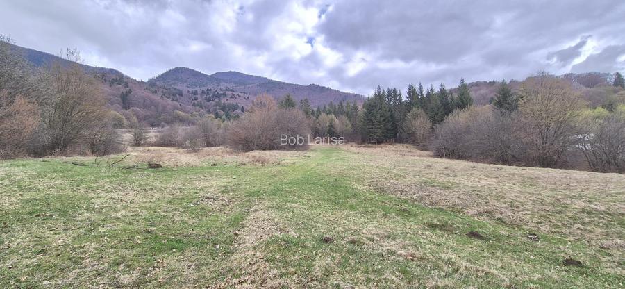 Teren agricol extravilan de 11300 mp, în Cheișoara