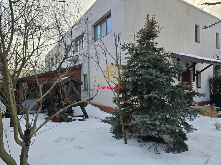 Green City - 1 Decembrie - Vila - 3