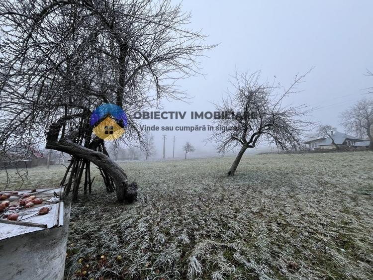 Casa si teren 3054 mp - Negresti - 15