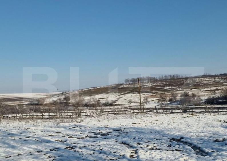 Teren intravilan 7.9 ha. Sandra - 21