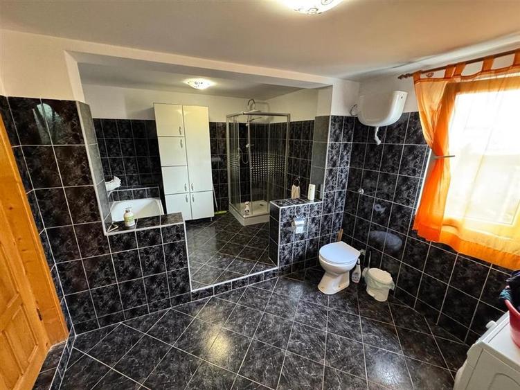 CASA DE VANZARE PANCIU - 16