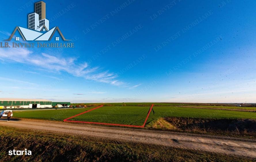 Teren Giarmata-PUG de locuinte- 100.000euro - 3