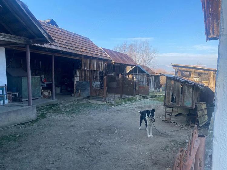 Casă cu Teren 7661 Mp în Șomănești