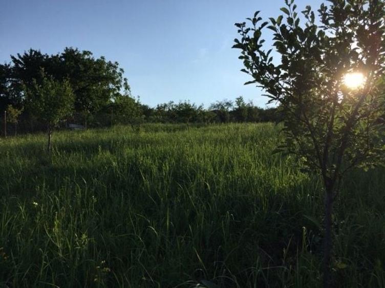 Teren intravilan Podgoria Oradea cu panorama / priveliste / view - 5