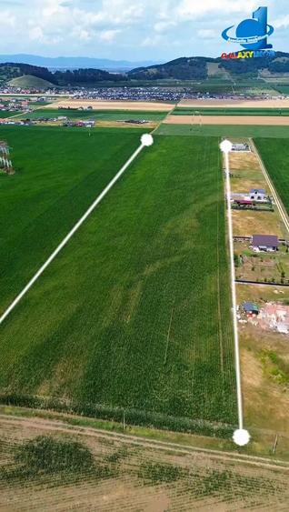 Teren Intravilan Cu PUZ Harman 32100 MP - 3