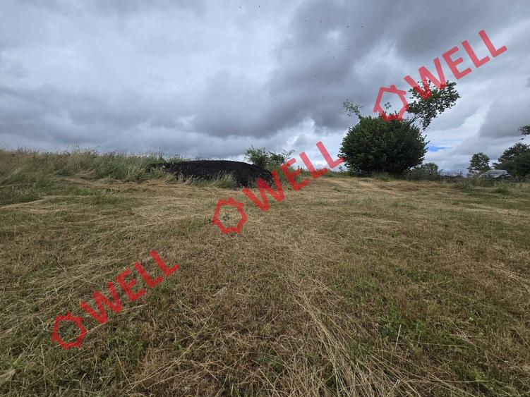 De vânzare teren extravilan loc. Sărămaș - 6