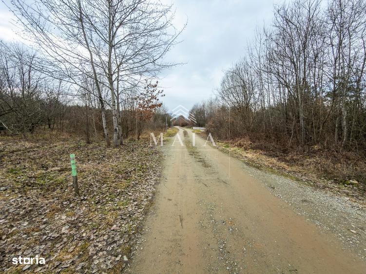 Teren extravilan 2200 mp, zona Calea Poplacii, la 5 min de Valea Aurie - 2