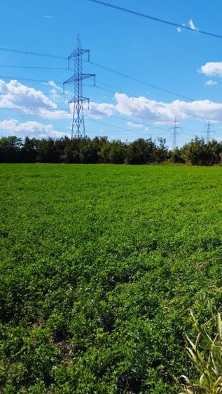 MEGA OCAZIE TEREN INTRAVILAN INDUSTRIAL 13652 MP DRUMUL LUNCA CETATII 42 E/MP - 6