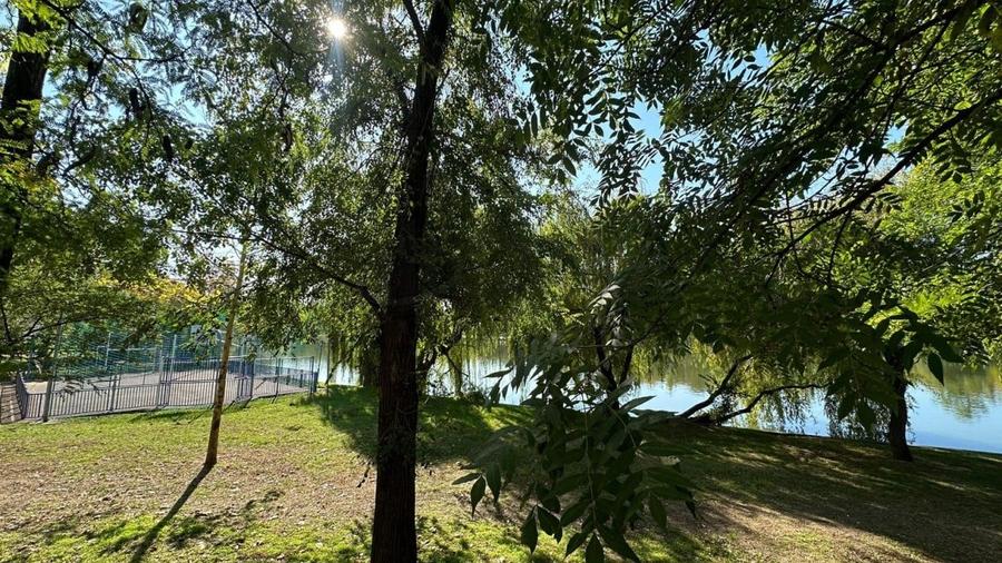 REA1022823 Duplex 200 mp I Herastrau I Sauna I Priveliste catre lac - 21