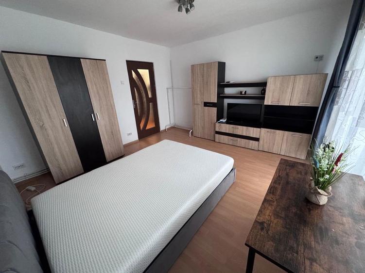 Pf inchiriez ap 1 camera Strapungere Silvestru - 2