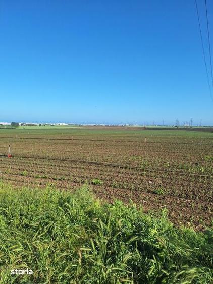 Teren Extravilan Black Sea Palazu Mare 14450 m2 - 4