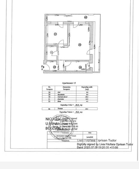 Pantelimon Rascoalei, Selgros - 20