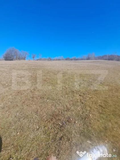 Teren de 5000 mp, în Almașu Mare