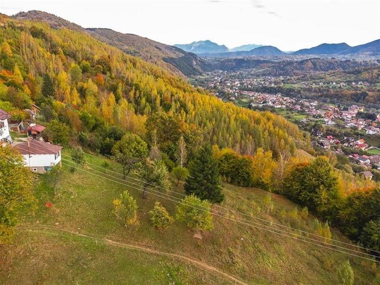 Film! Teren in peisaj mirific, Parcul Natural Piatra Craiului, Moieciu, Magura, - 7