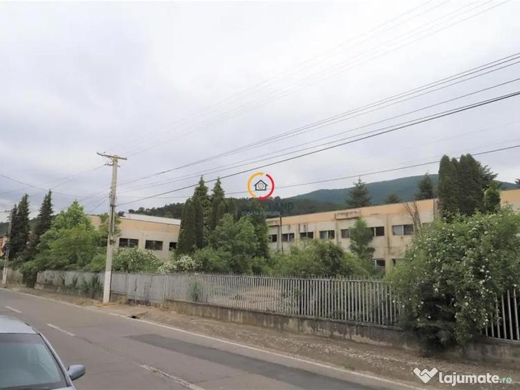 Oportunitate de investitie - 5