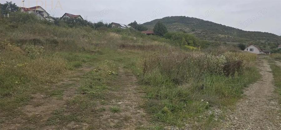 De vanzare teren intravilan Viisoara, Jud. Bistrita-Nasaud - 5