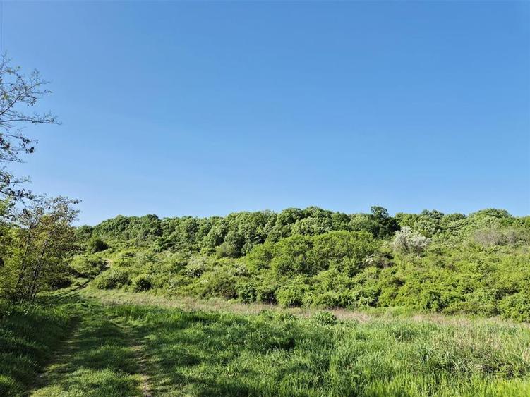 Teren pentru casa cu vedere frumoasa - 7