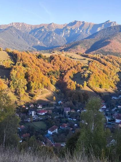 Vand teren intravilan in Bran cu priveliste asupra Muntilor Bucegi - 3