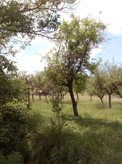 Mihaesti, Draghici - 3