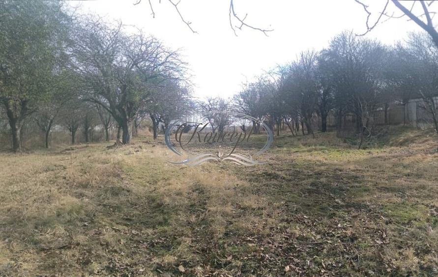 Teren pentru casa sau duplex in sat Gheorgheni - 2