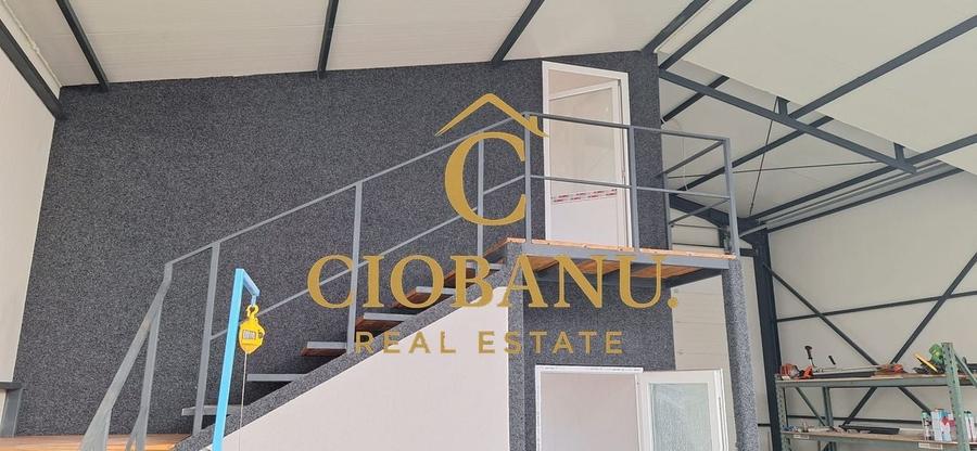 Hala de vanzare in Racari de Jos - 5