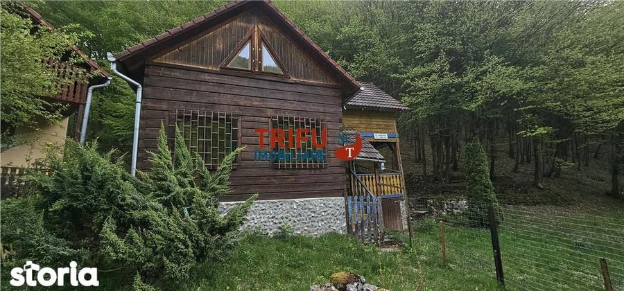 Casa de vacan?a la padure | Teren 891 mp | Valea Ighielului - 15