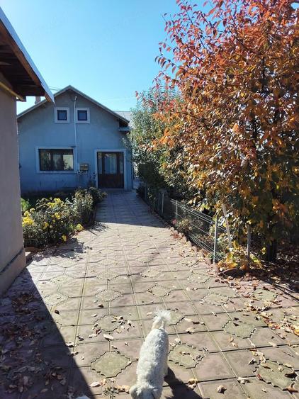 Vanzare casa cu mansarda - 9