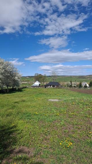 Teren intravilan 1800 mp, Pocoleni (Radaseni) - forma dreptunghiulara, posibilitate parcelare - 1
