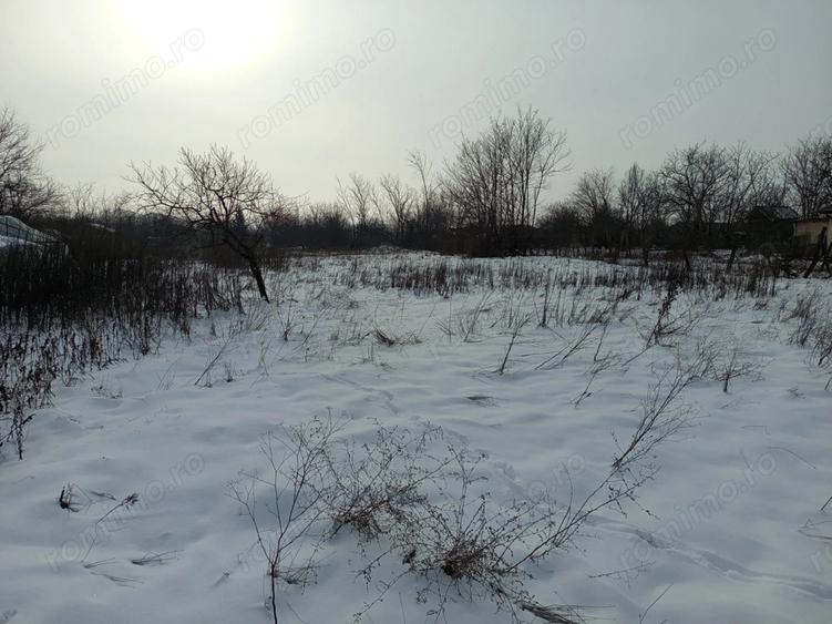 Casa + Teren generos 3283 mp in Curcani, CL Gaze la poarta (Posibilitate parcelare) - 7