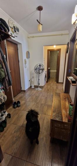 Doua camere comfort maxim, zona Gara. - 11