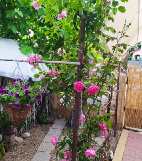 Casa Mihai Bravu -Calea Vitan - 8