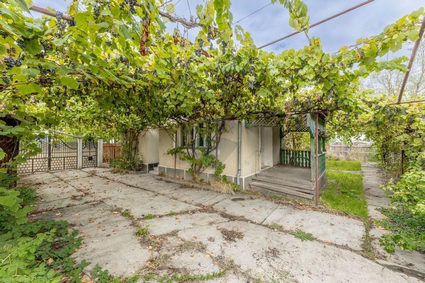 Casa spatioasa in Pancota ideala pentru doua familii - 19