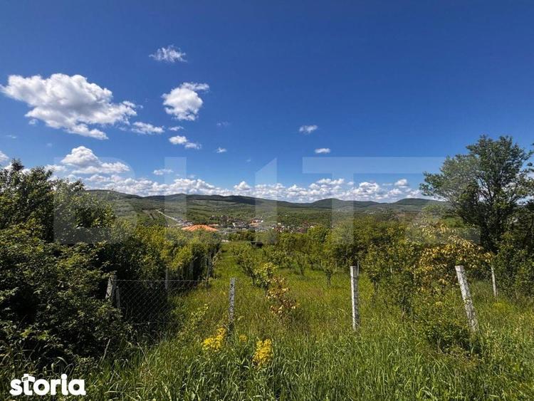 Teren extravilan de vanzare, 2500 mp, zona Valea Sigmirului - 2