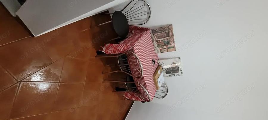 Apartament 2 camere Parter Baile Herculane - 3