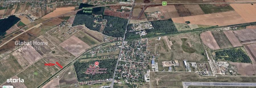 Teren 4000 mp langa Padurea Petresti | Investitie dezvoltare | Corbean - 2