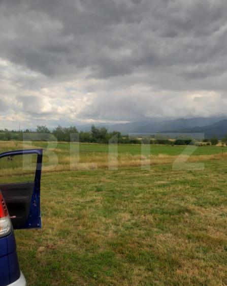 Teren extravilan 8600 mp, Car?i?oara- Coasta lui Nache - 1