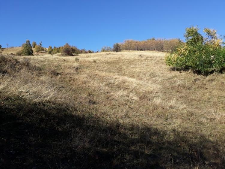 OFERTĂ SPECIALĂ! Teren intravilan de vânzare în Câmpina pe Dealul Muscel - 7