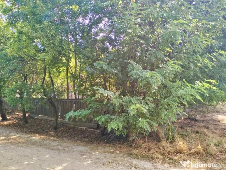 Teren 4975 mp situat in intravilanul satului Belciug, Dragan - 7