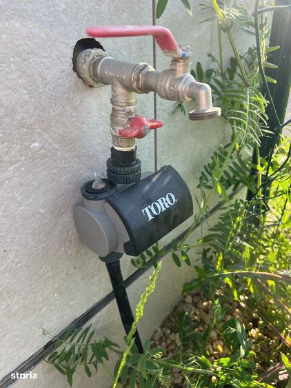 Amber Forest casa 4 camere, proprietar - 3