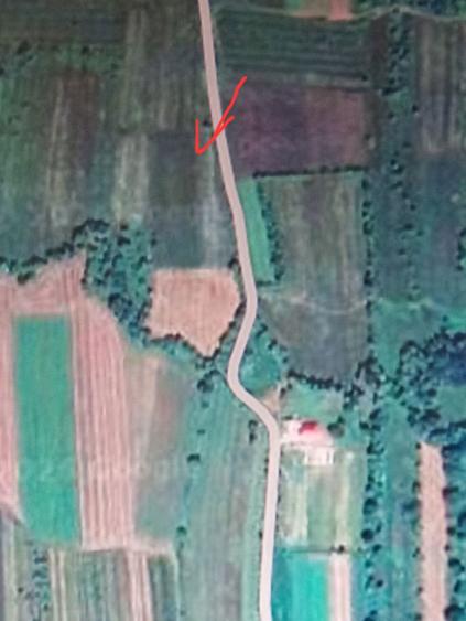 Teren de vinzare vicovu de sus 350 euro - 6