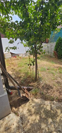 Vila tip dupex-gata de mutare/Com.Berceni - 5